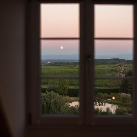 Maison D'Hotes Les Jardins De Madeleine Bernardvillé Екстериор снимка