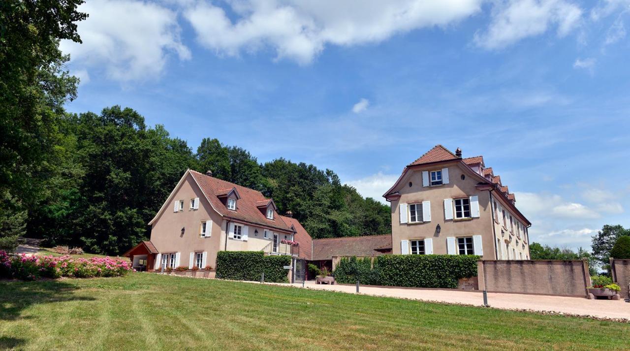 Maison D'Hotes Les Jardins De Madeleine Bernardvillé Екстериор снимка