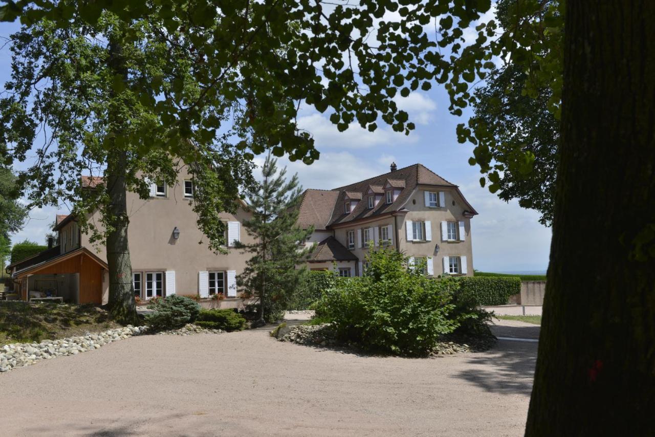 Maison D'Hotes Les Jardins De Madeleine Bernardvillé Екстериор снимка