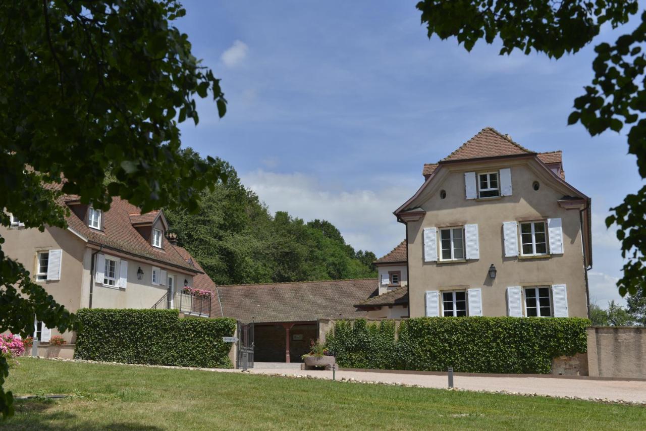 Maison D'Hotes Les Jardins De Madeleine Bernardvillé Екстериор снимка