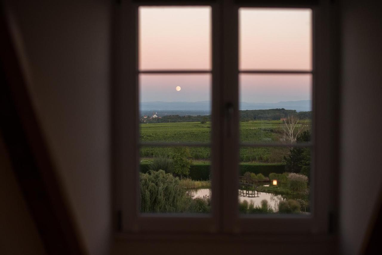 Maison D'Hotes Les Jardins De Madeleine Bernardvillé Екстериор снимка