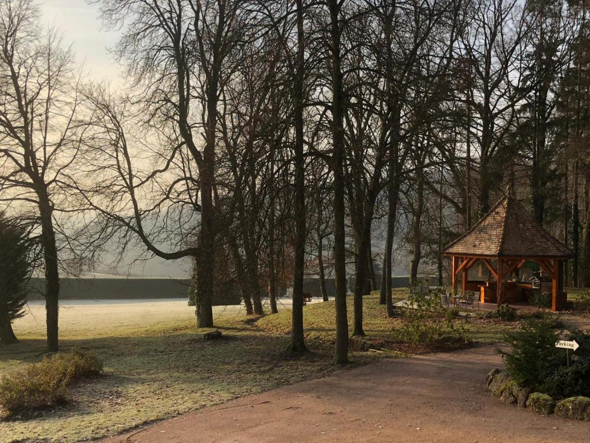 Maison D'Hotes Les Jardins De Madeleine Bernardvillé Екстериор снимка